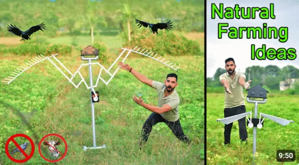 Agriculture Project