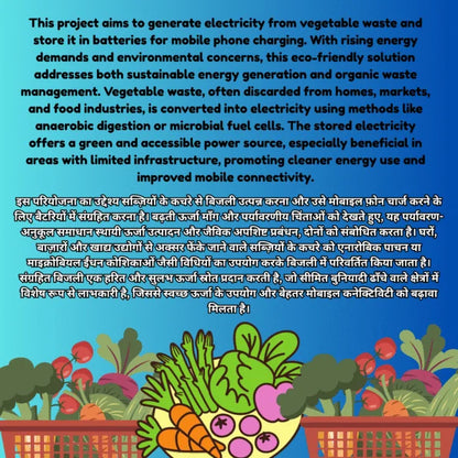 Vegetable Waste Electricity Generator